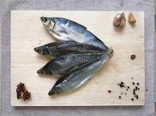 Рыба горячего копчения: Пелядь вяленая