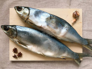 Кальмар паутинка: Сиг вяленый