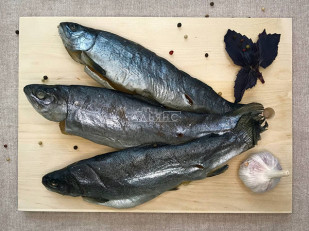 Кальмар паутинка: Форель радужная вяленая